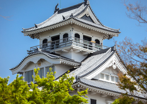 Viva Nagahama
